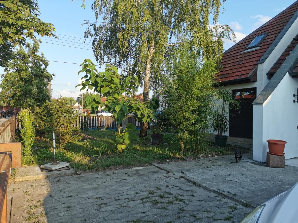 Ambient Deluxe Apartman Gyula Esterno foto